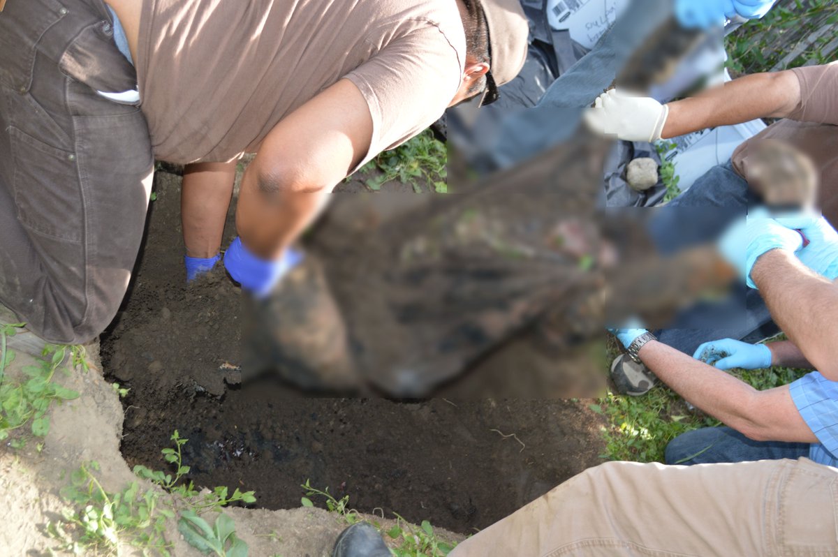 Sword and Scale tweet media