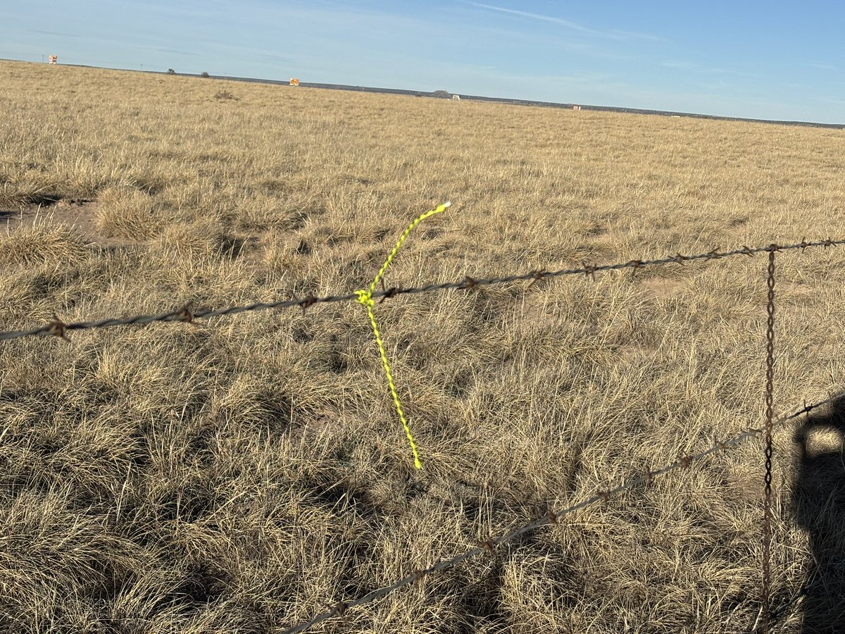 Scott Davis tweet media