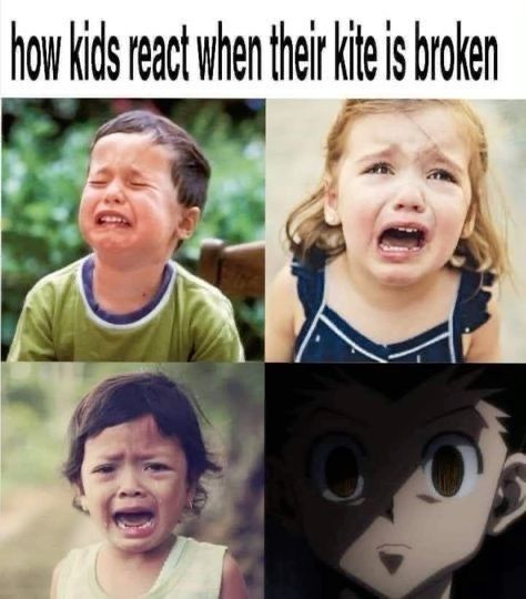 Hunter x Hunter Perfect Shots tweet media