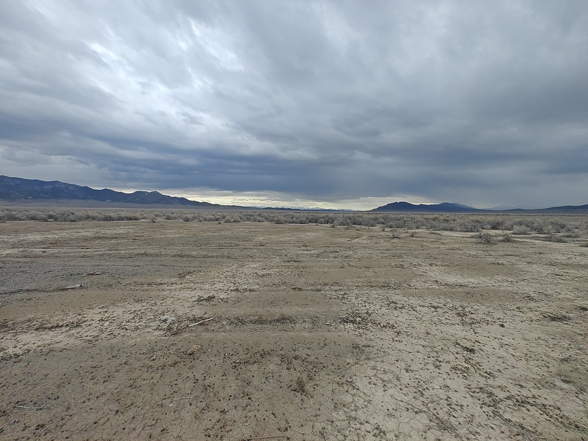 Nate Bohman tweet media