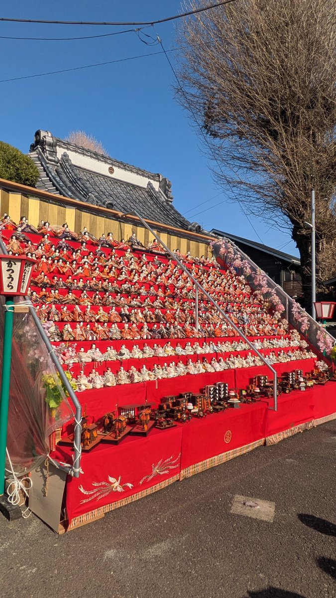 masami520101's tweet photo. #かつうらビッグひな祭り https://t.co/t5rAlIXXA8