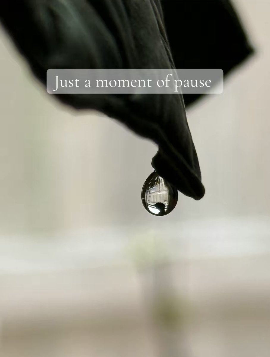 Mechell Lord tweet media