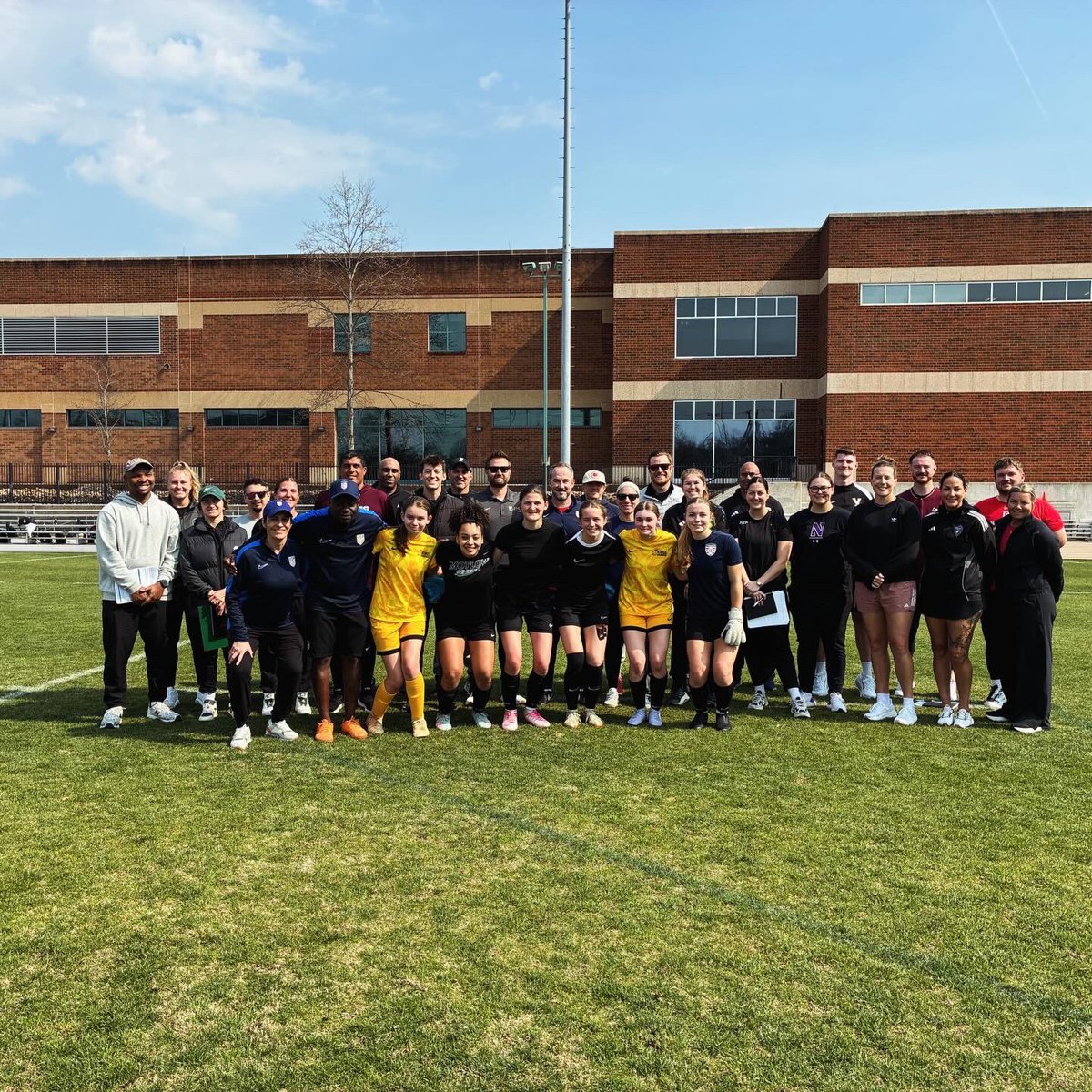 Ali Hanif tweet media