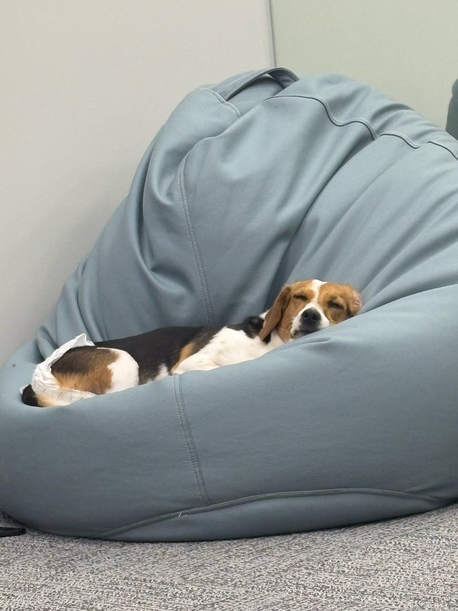 This sleepyhead is 6 years old now