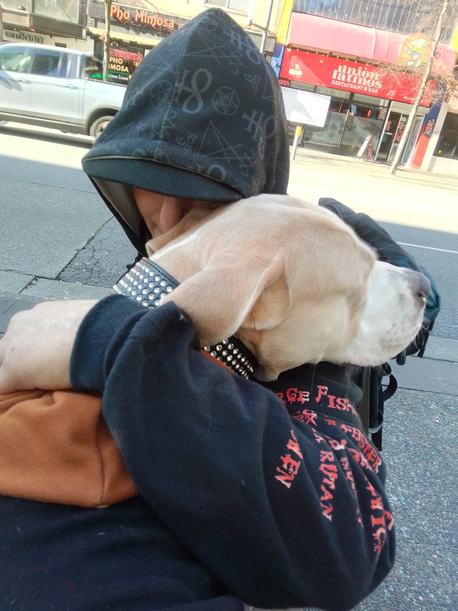 LebrockTony's tweet photo. 🌞🌄🐾Taking Papa's 2 Work!¡!
 🐾💙🤎🤎😎🥰🫰🤎🤎💙🐾
#staffiesunday #staffysunday 
#goingtowork #dogsworld  #mansbestfriend #pittielove
#petx #dodx #pittieparent 
#MadamRiley #joey #dogking https://t.co/7WRYLYVKI2