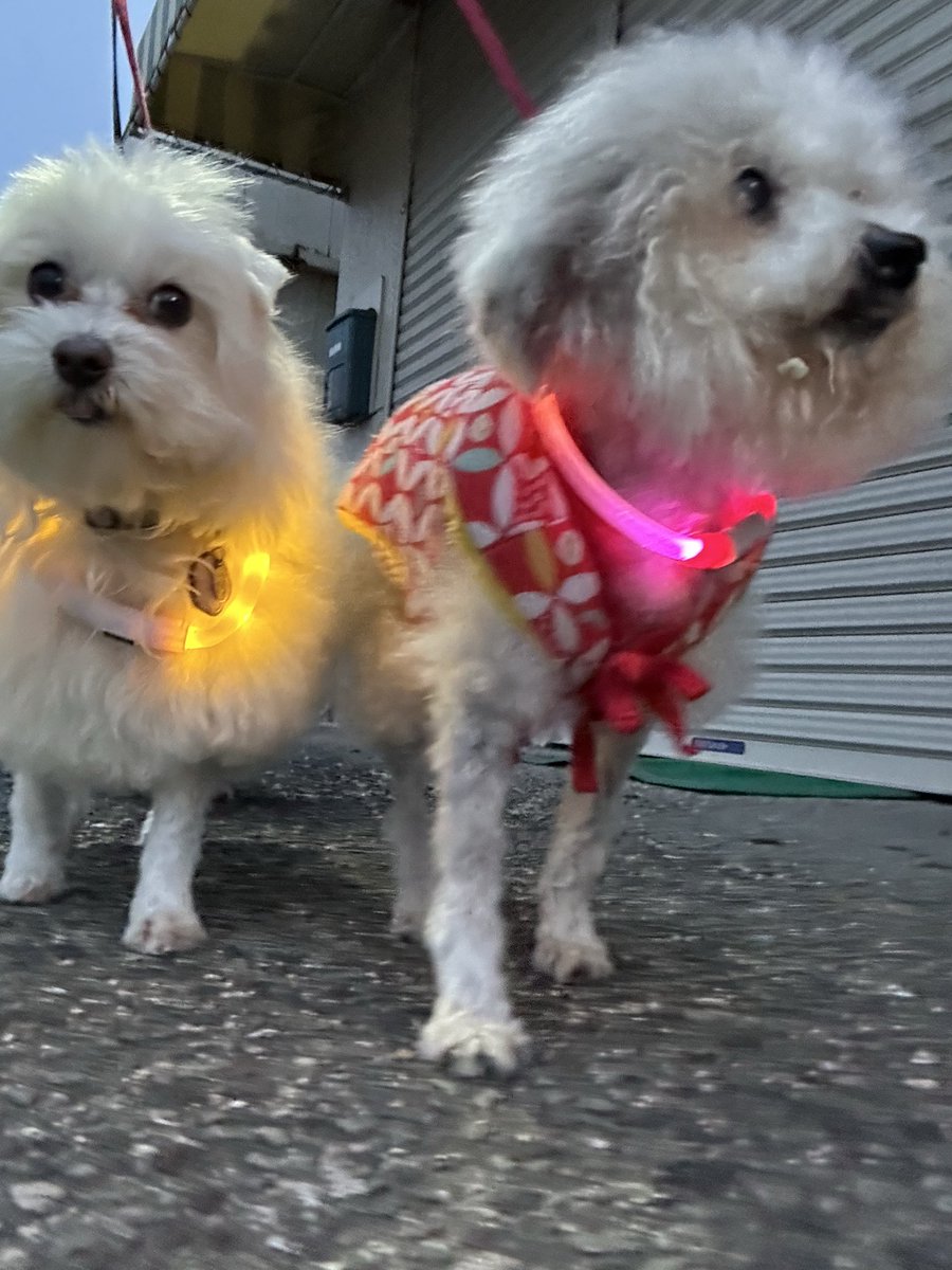 ハルくん (@9Z8lquSv8B3FMpN) / Posts / X