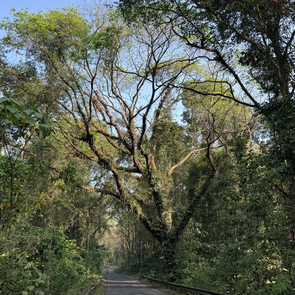 Mohit Mehta tweet media