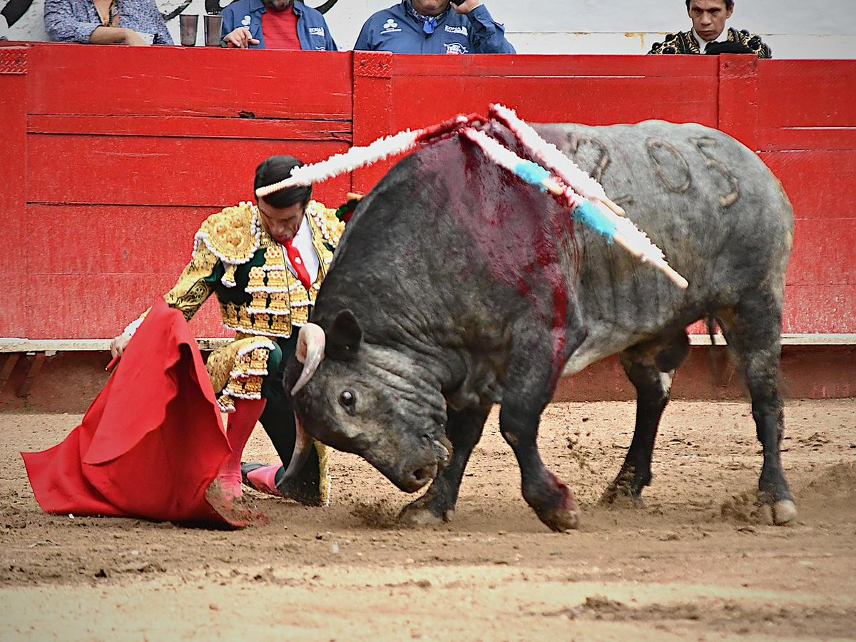 Emilio de Justo tweet media