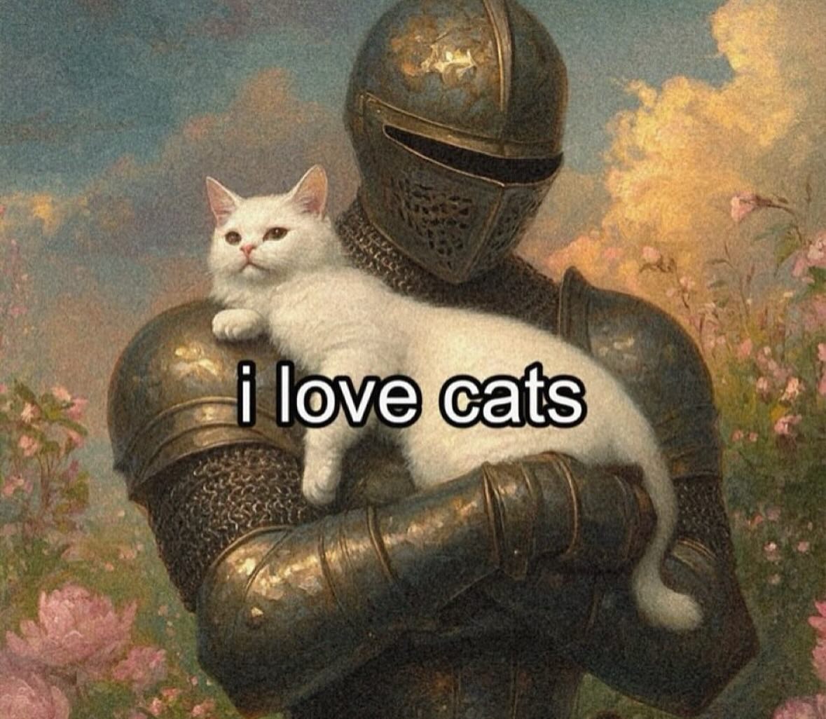 Punch Cat tweet media