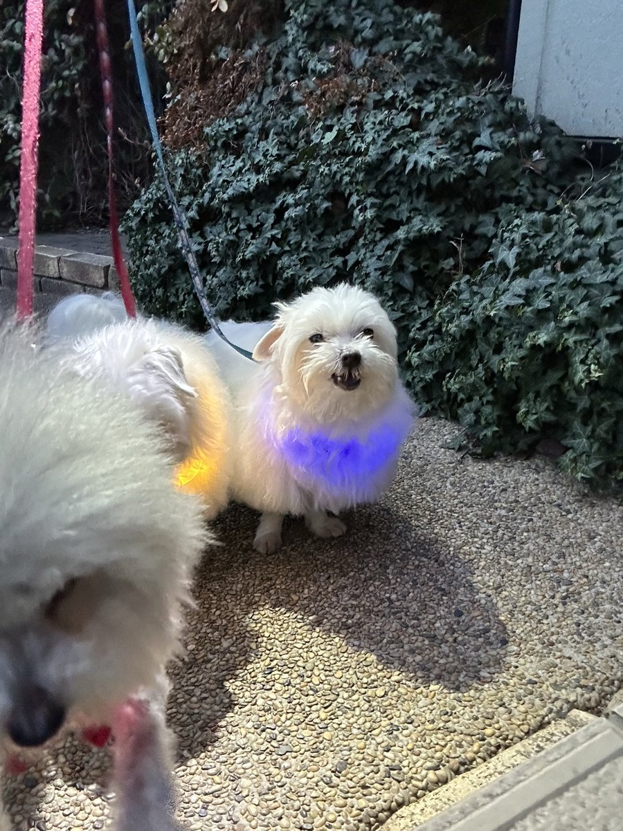 ハルくん (@9Z8lquSv8B3FMpN) / Posts / X