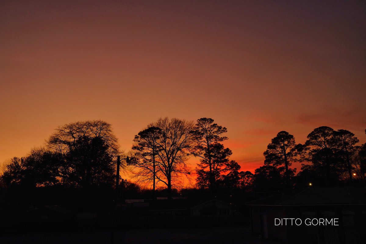 Ditto Gorme tweet media