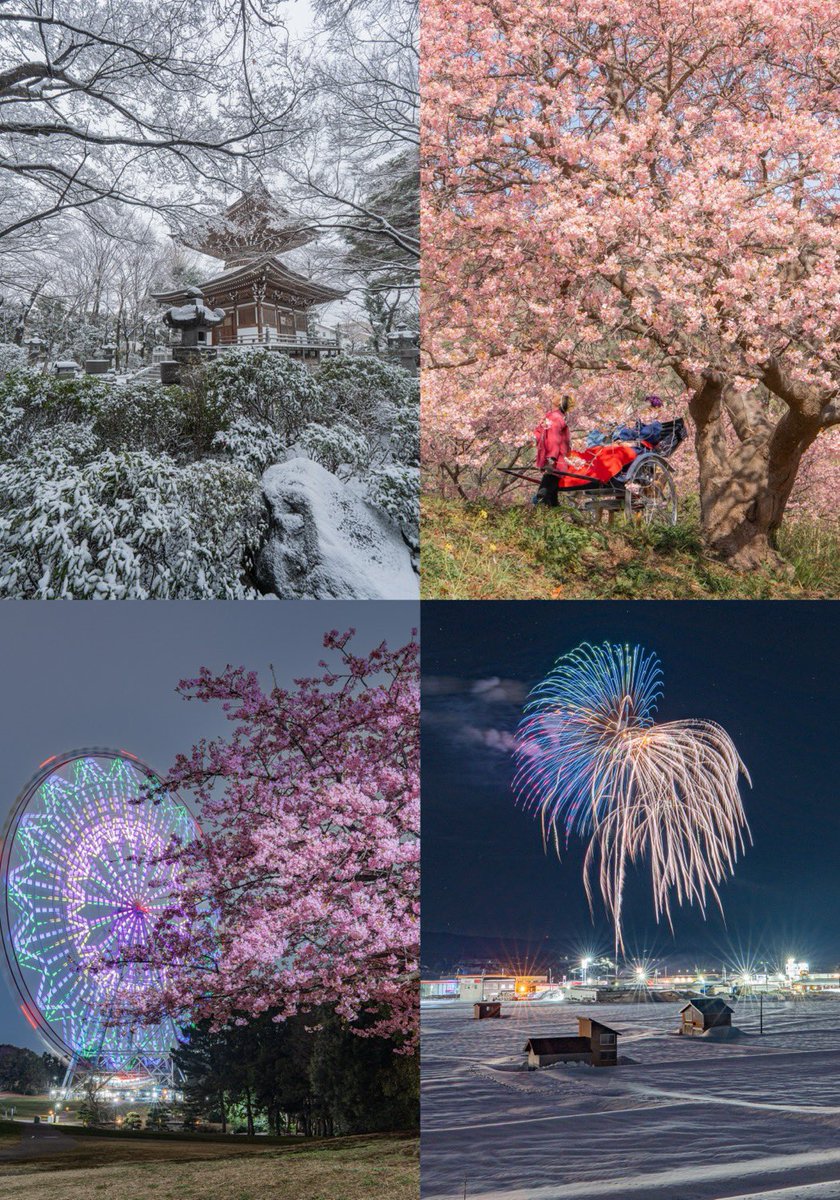 #2月を写真4枚で振り返る
雪に桜に振り幅がでかい2月でした笑