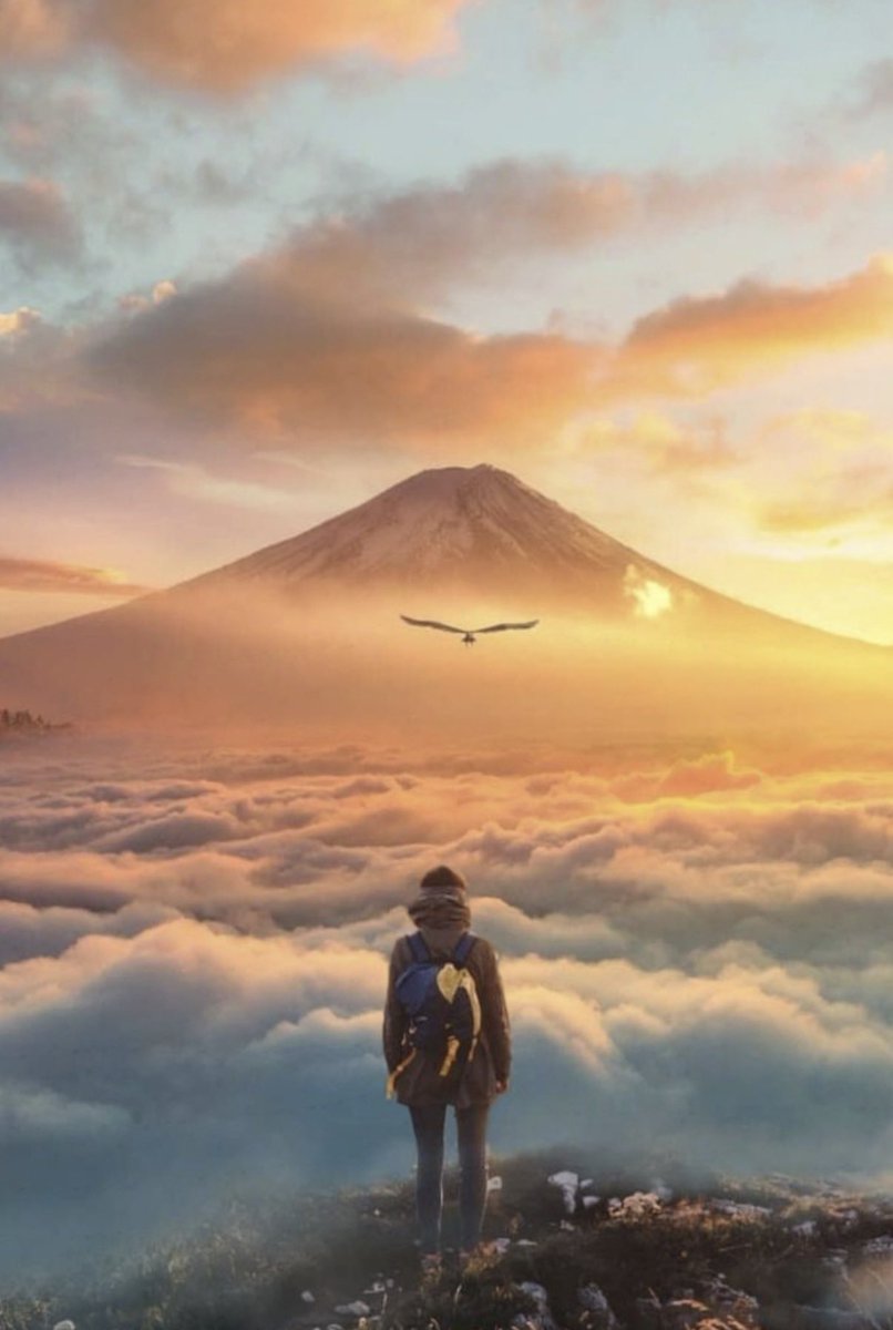 Astraios Plejaren tweet media