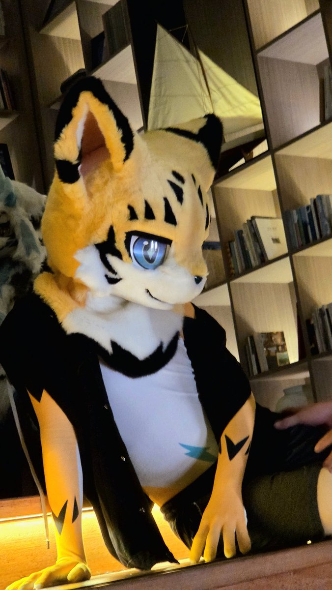 明弦Meigen➡UTFG2026 tweet media