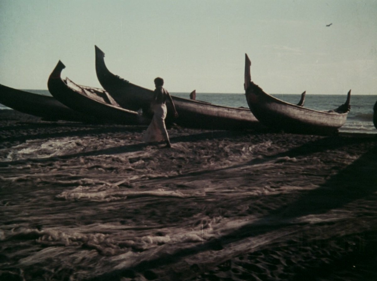 Charulata tweet media