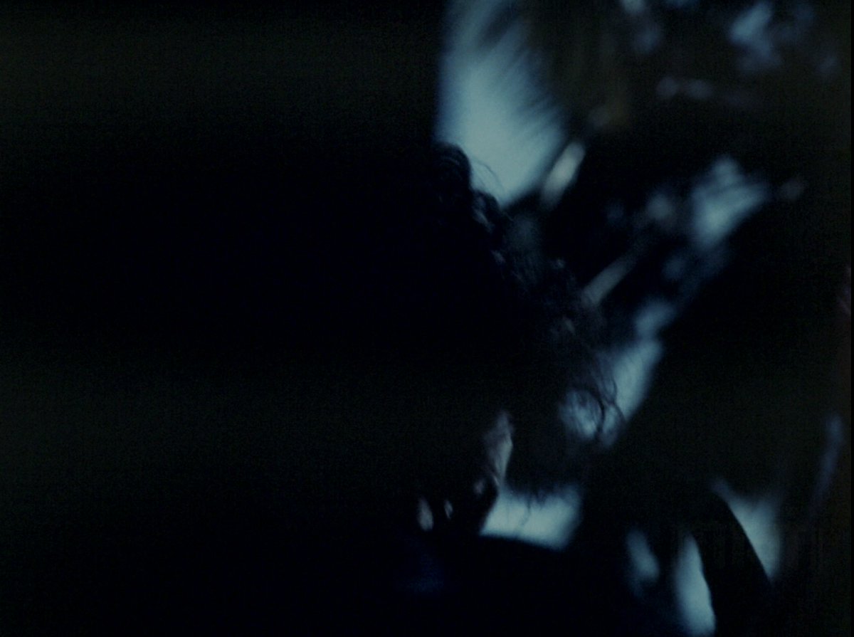 Charulata tweet media