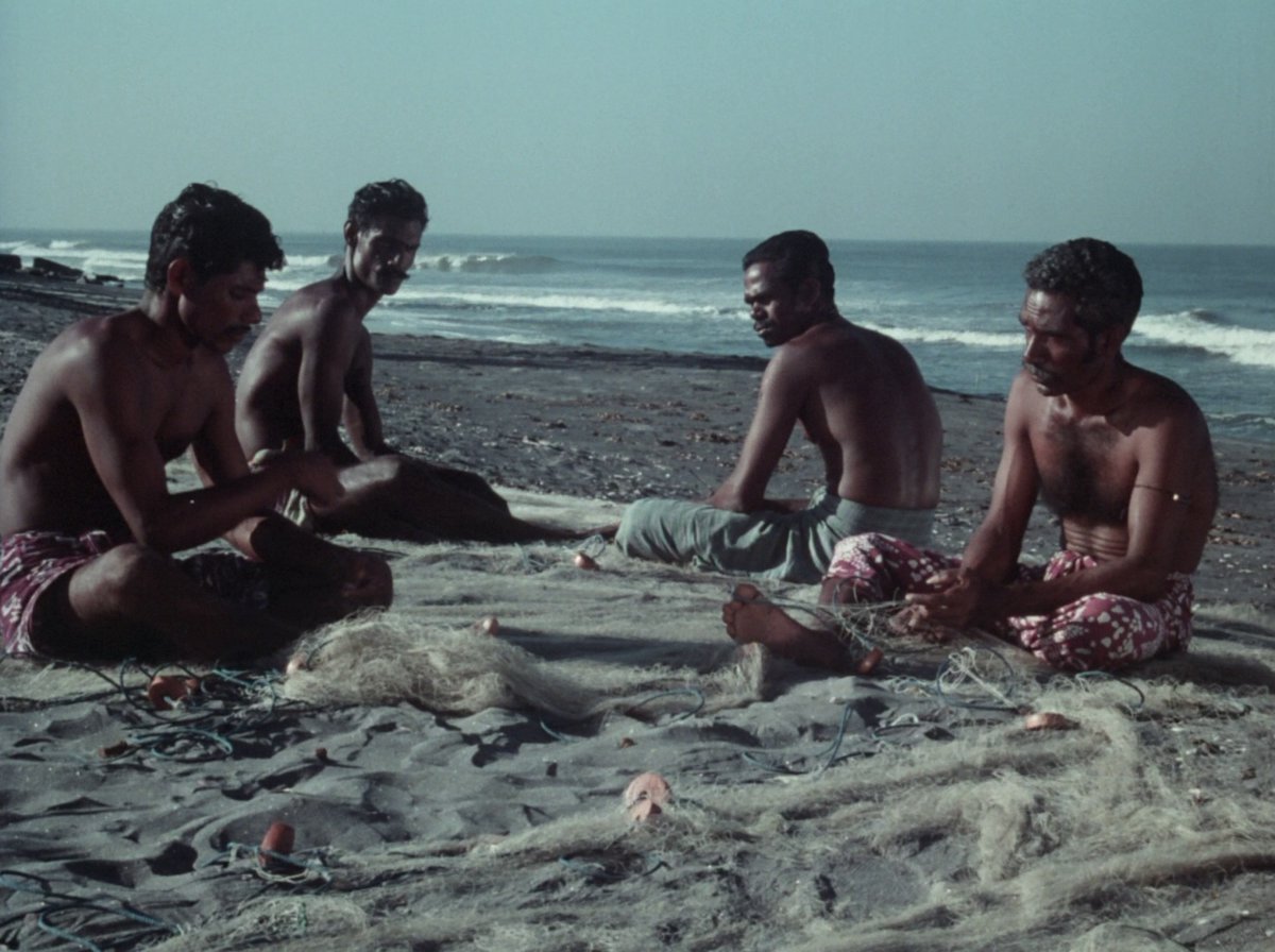 Charulata tweet media