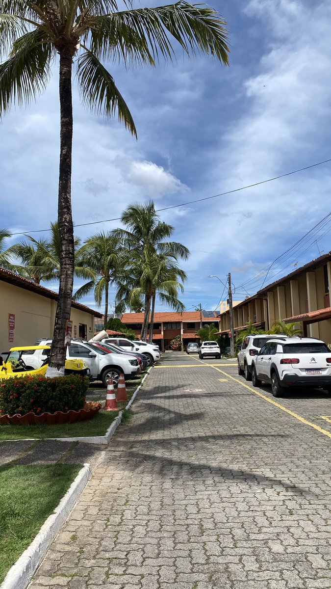 @diasdi6 tweet media