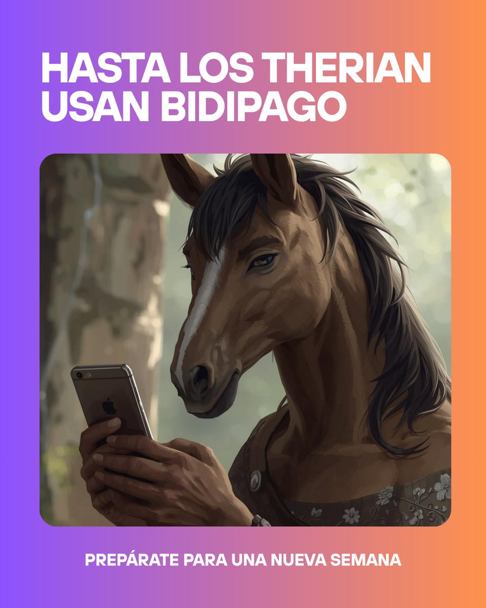 BidiPago🚀 tweet media