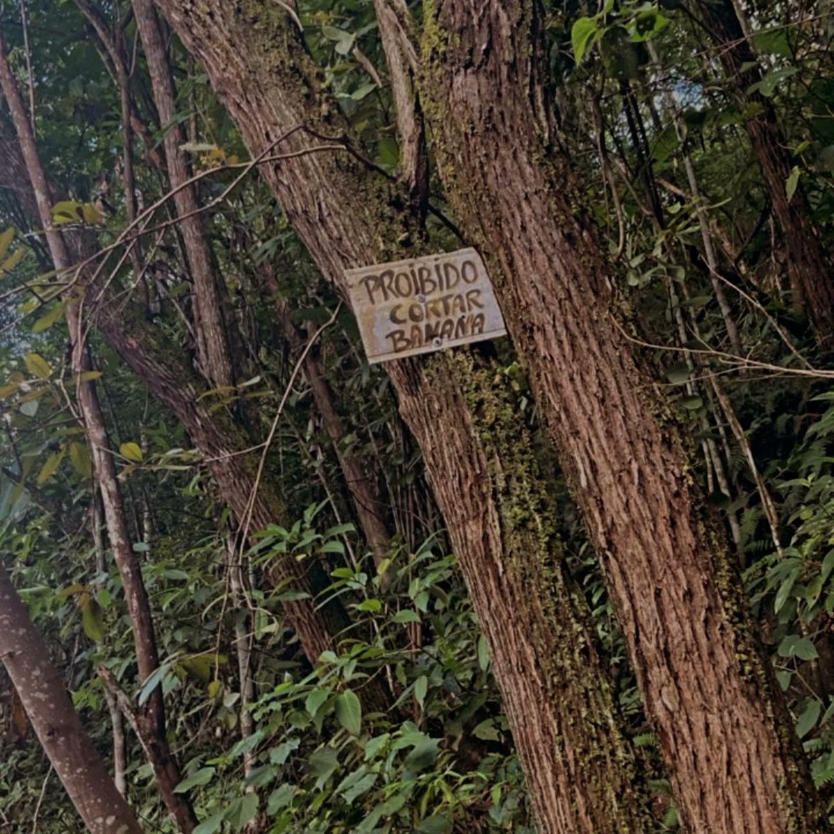  ⋆˚꩜ | 𝚃𝙴𝚇𝚄𝙶𝙾 𝚍𝚎 𝙱✞︎𝙶𝙾𝙳𝙴 tweet media