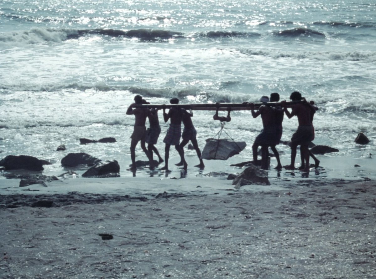 Charulata tweet media