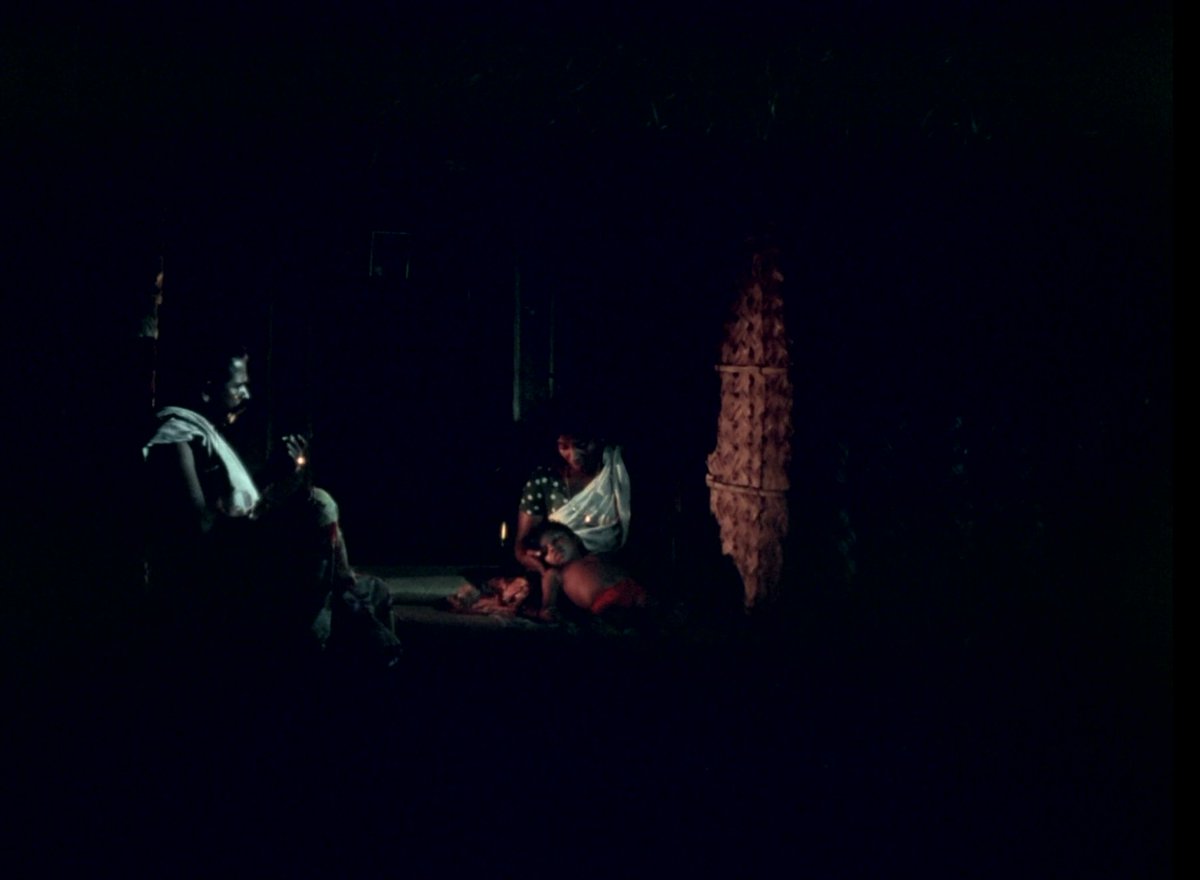 Charulata tweet media