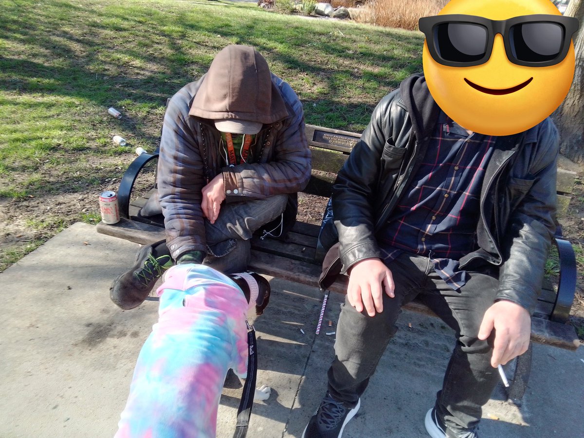 LebrockTony's tweet photo. 🌞🌅🐾💙Madam's🥰🐾💙💙
#MorningVibes #pittielovers 
#mansbestfriend #pittielove  
#agooddaytobeadog #pibbles 
#dogqueen #DogsAreFamily 
#MadamRiley #parkvibes https://t.co/gzGP8Ls3eM