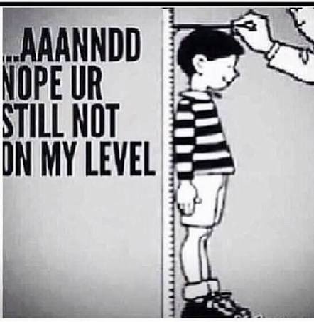 Bringdö tweet media