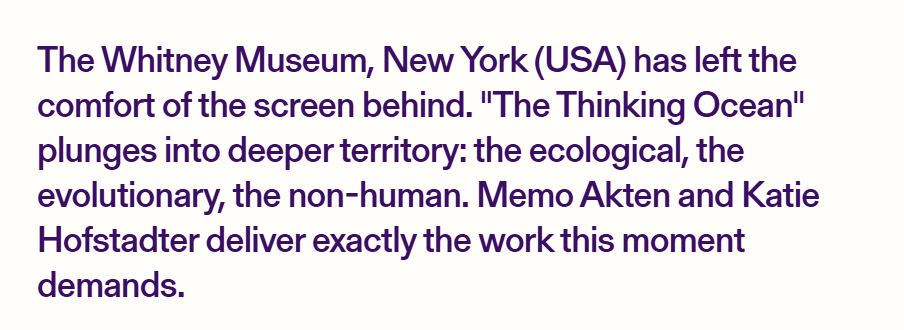 memoakten's tweet photo. What a month! Again very moved by this wonderful review of 'The Thinking Ocean' @whitneymuseum ! After months (+ yrs) of reading, talking, thinking, writing, working, it's so nice to see ppl *see* what we're doing 🙏🙏
https://t.co/b5WXu05ote

explore the work here: https://t.co/eTmvz2Qo6X
 
@KatieHofstadter @SuperradianceX @cosmosapience