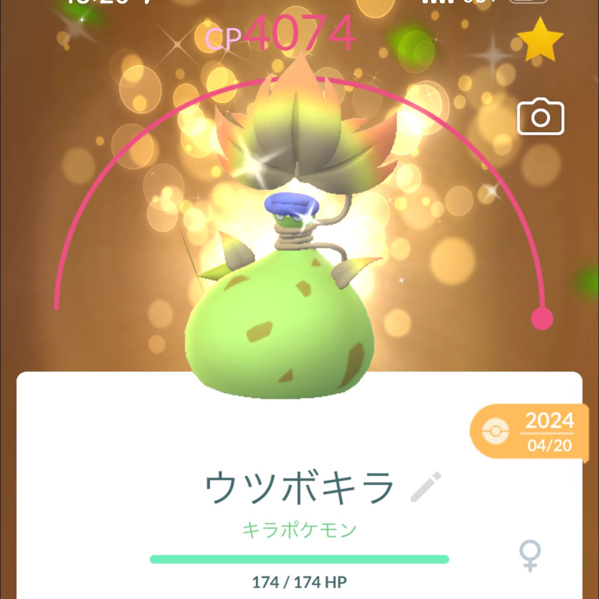 メガウツボット