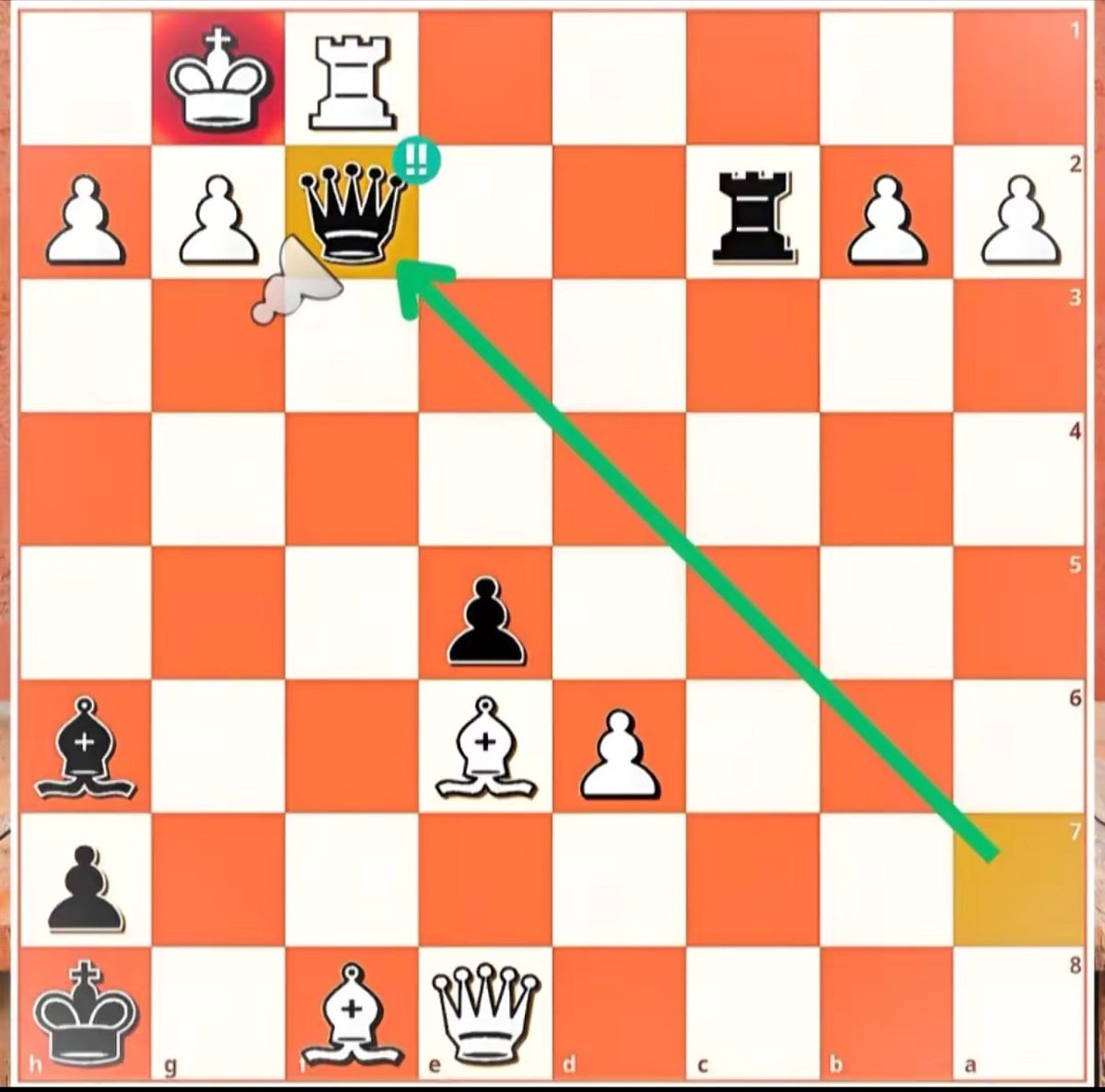 Chess Master tweet media