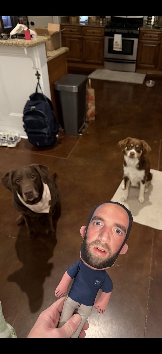 Tyler Malin tweet media