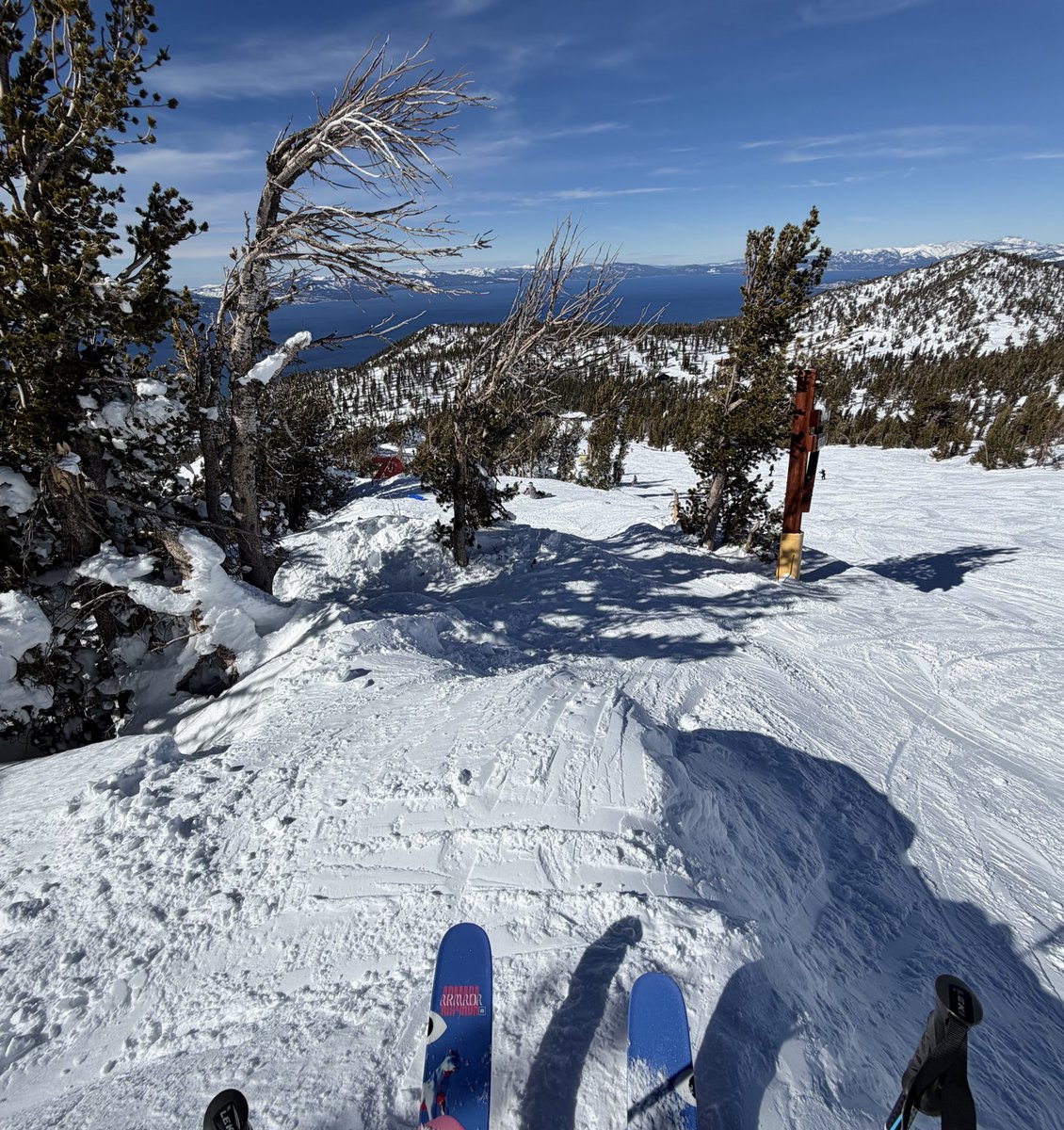 Coltybrah tweet media