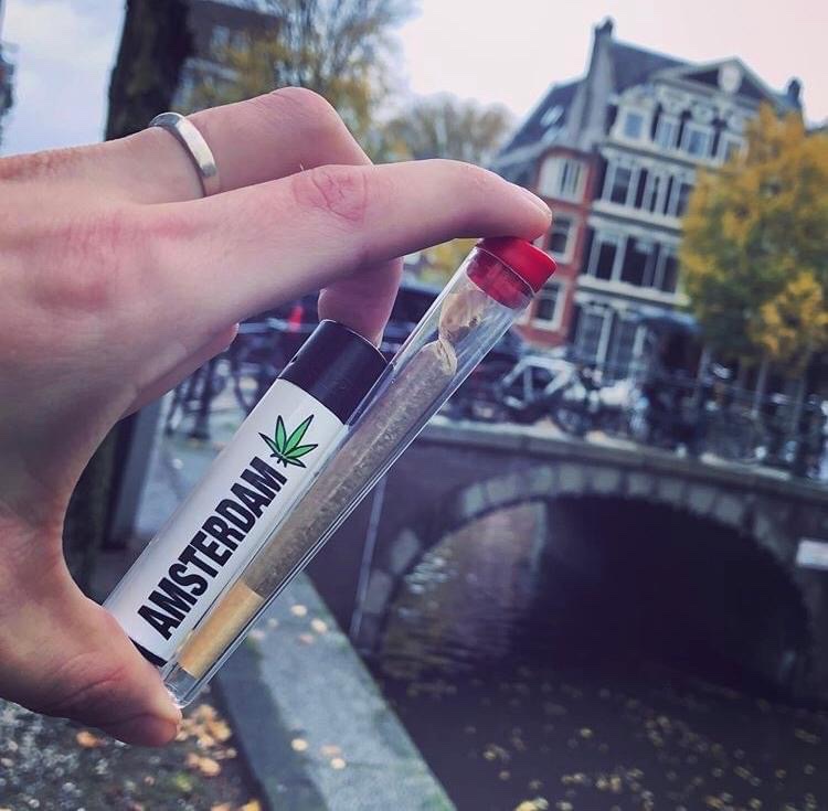 Amsterdam 💚