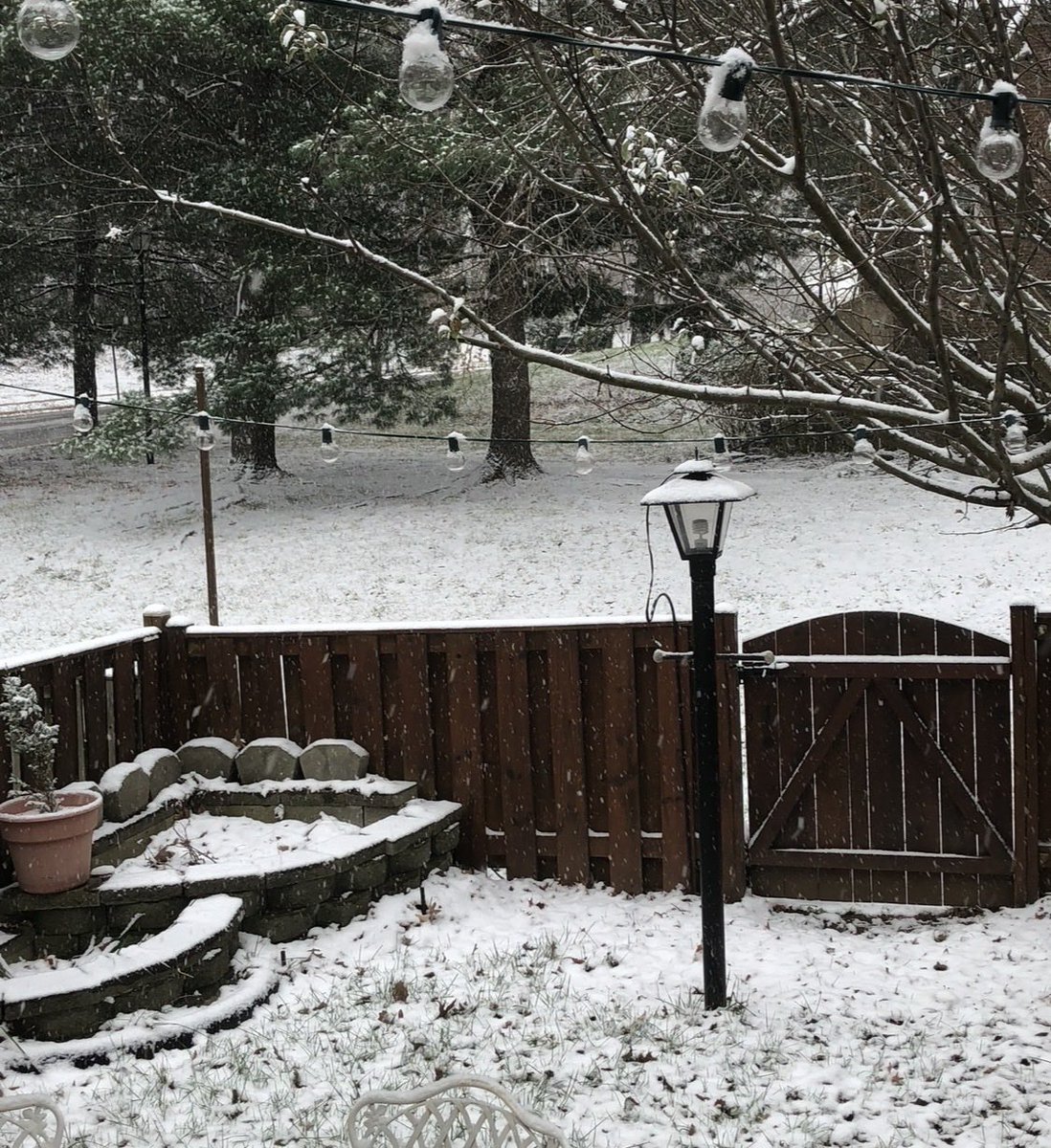 MoCoSnow tweet media