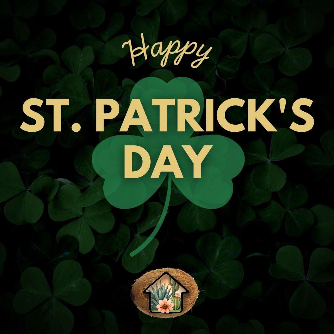 CoconutContrac1's tweet photo. Feeling lucky this St. Patrick’s Day? Let your lawn be the green at the end of the rainbow. Healthy grass, vibrant plants, and a well-kept yard create a calming, welcoming space for everyone to enjoy. Call Coconut Contracting today to schedule your lawn maintenance. https://t.co/7bu5fy2SXI