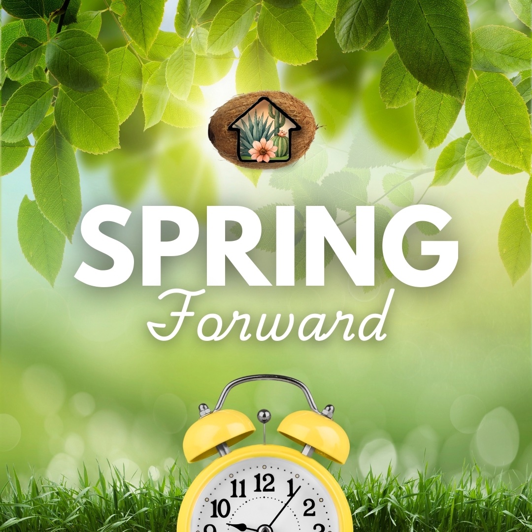 CoconutContrac1's tweet photo. Spring forward this season by giving your lawn the care it deserves. Longer days mean more growth for grass and plants. Refresh your yard with healthy turf, trimmed hedges, and clean beds for a polished look. Contact Coconut Contracting today to schedule your spring lawn service. https://t.co/SNv7Q3fG6I