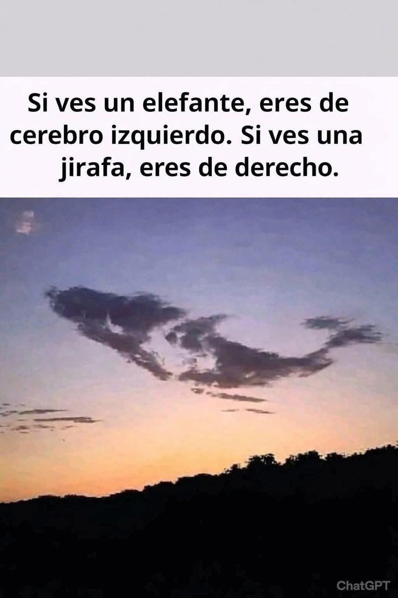 PensamientosX tweet media