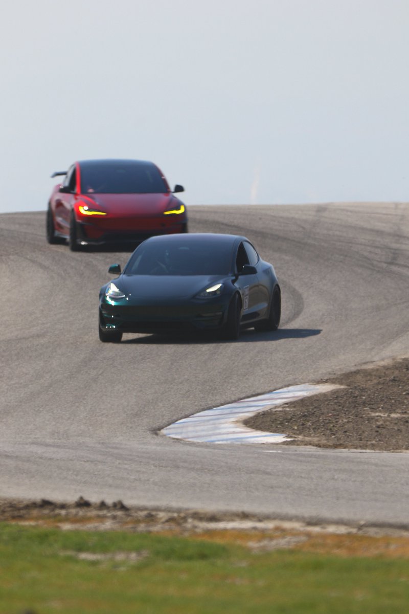 Ryan Torres tweet media