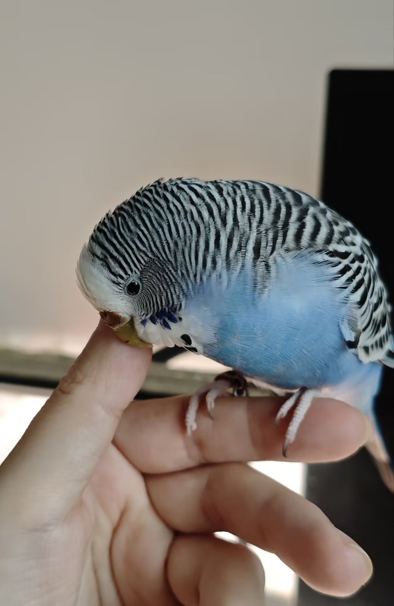 零下100°C tweet media