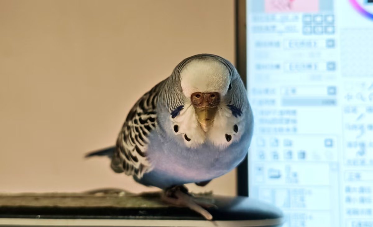 零下100°C tweet media