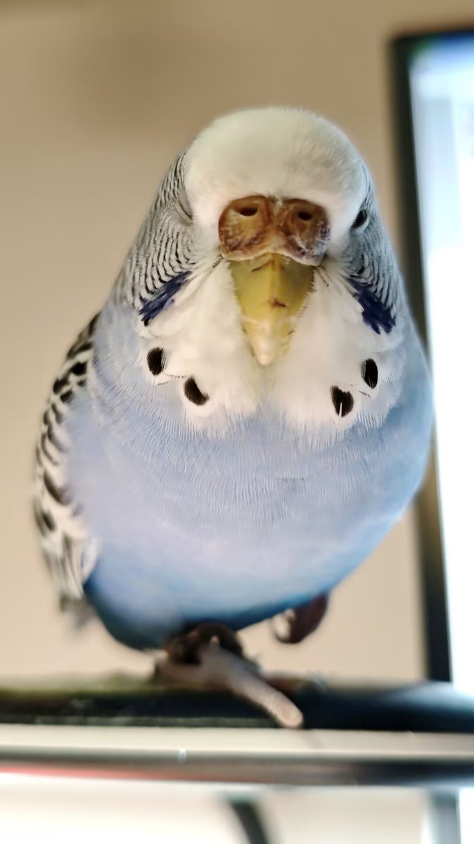 零下100°C tweet media