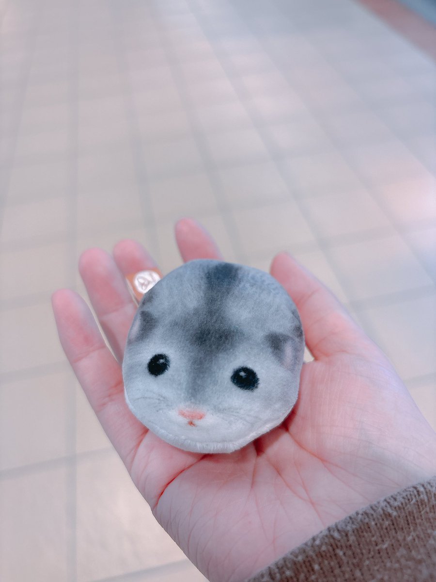 ハムちゃん🐹 (@nagihagiyubeshi) / Posts / X