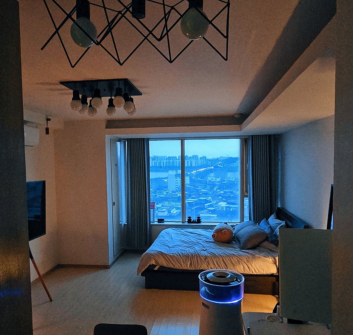 싱글몰트🍑 tweet media