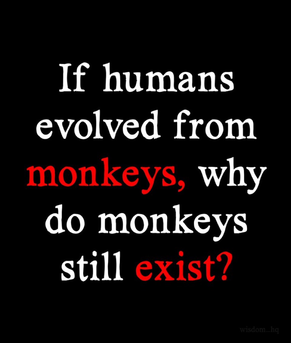 Honey 🛼 tweet media