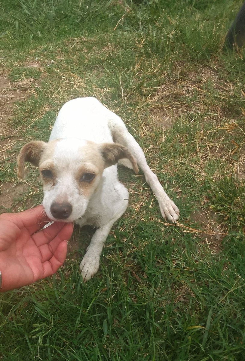 Ayudemos a este bebito.
Lo tiraron de un auto
1549692061
Patricia Peyrou