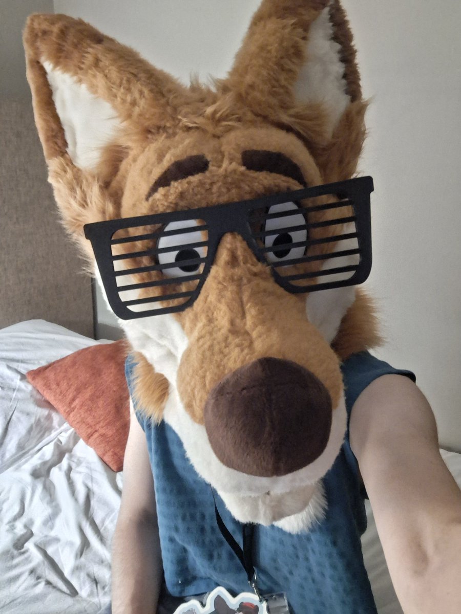 patoso - CMS OPEN tweet media