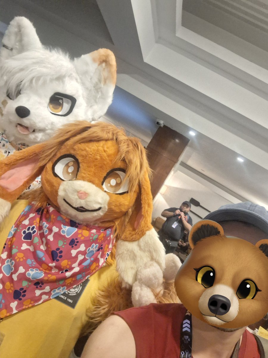 patoso - CMS OPEN tweet media