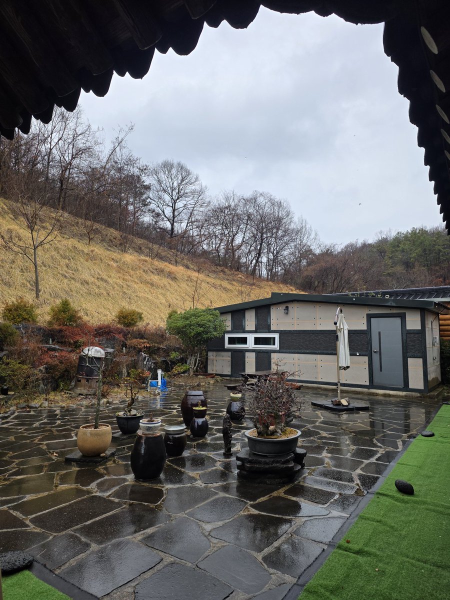 국민의힘 전남도당 위원장 tweet media