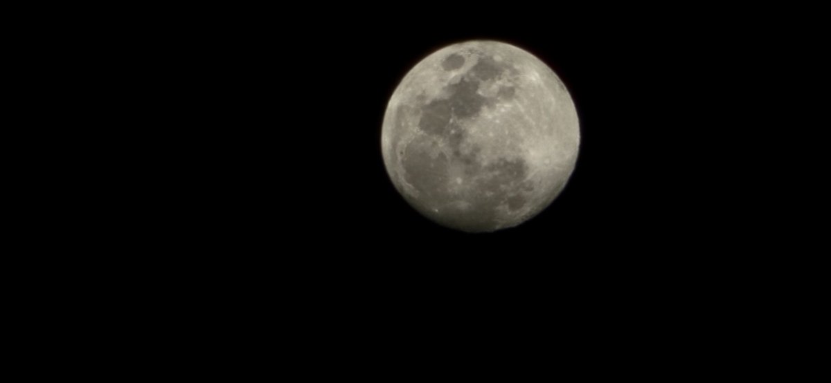 Dvdlance727's tweet photo. I took this photo with my Galaxy X, what do your photos look like zoomed in? https://t.co/eAR2aApXXM